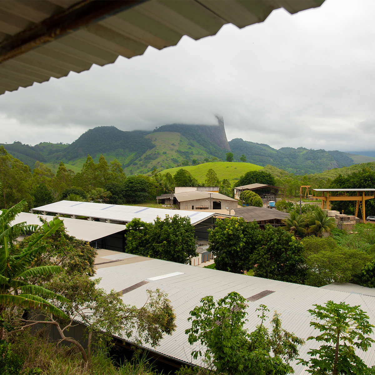 Granforte